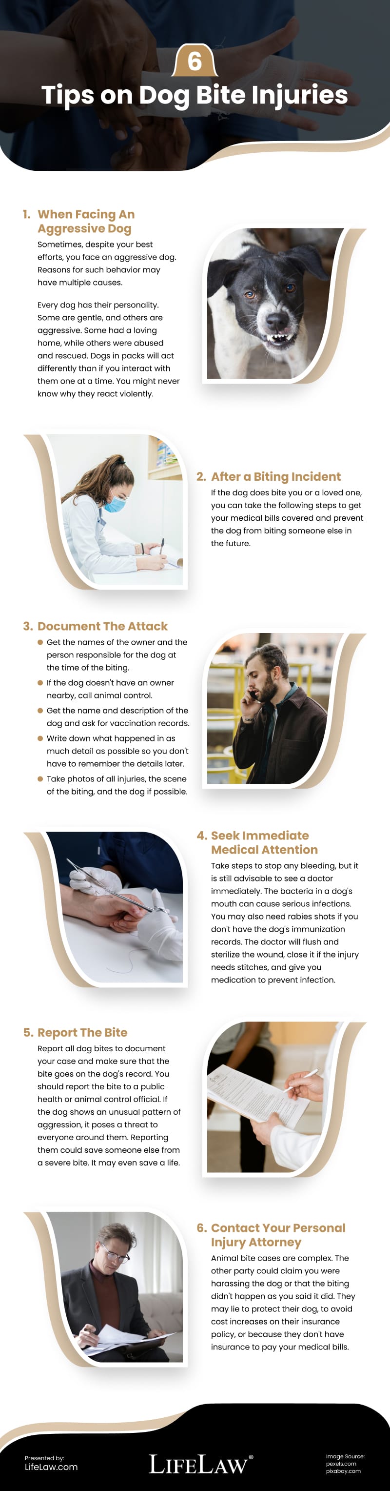 6 Tips on Dog Bite Injuries Infographic