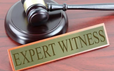 The Importance of Having an Expert Witness for Your Case