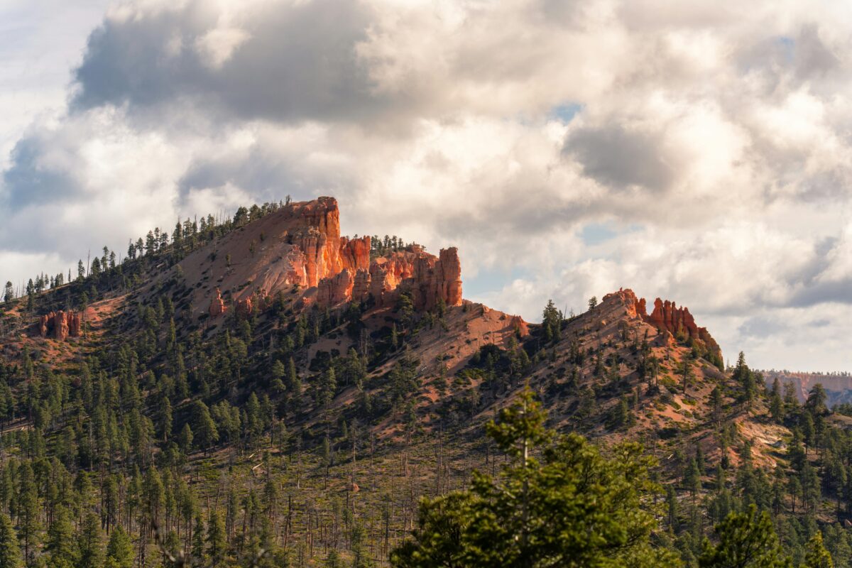 pexels-alexmoliski-31887668