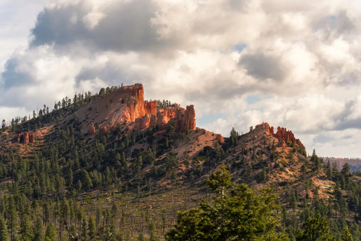 pexels-alexmoliski-31887668